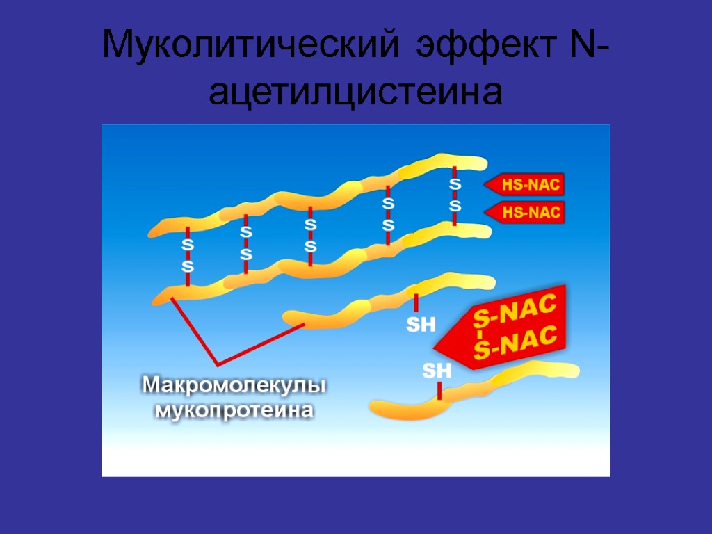 Муколитический эффект N-ацетилцистеина